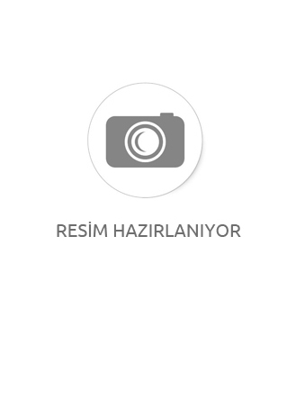 Dikili Tip TRAL Serisi Network Kabinleri 42U 600x800